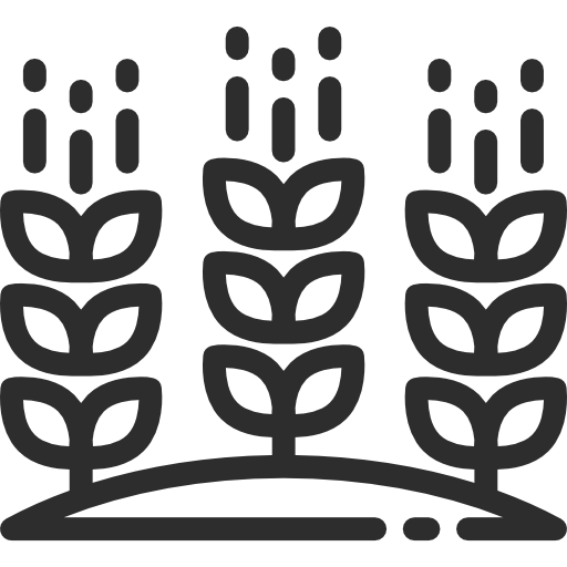 Logo champ de blé